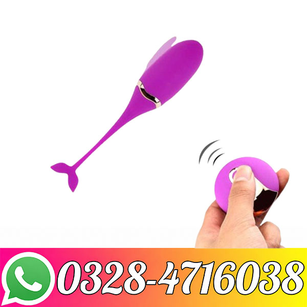 Wireless fish vibrator with remote control